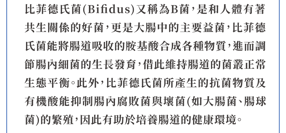 比菲德氏菌 Bifidus B菌 好菌 益菌 抑制腸內腐敗菌與壞菌 大腸菌 腸球菌 培養腸道的健康環境。
                            