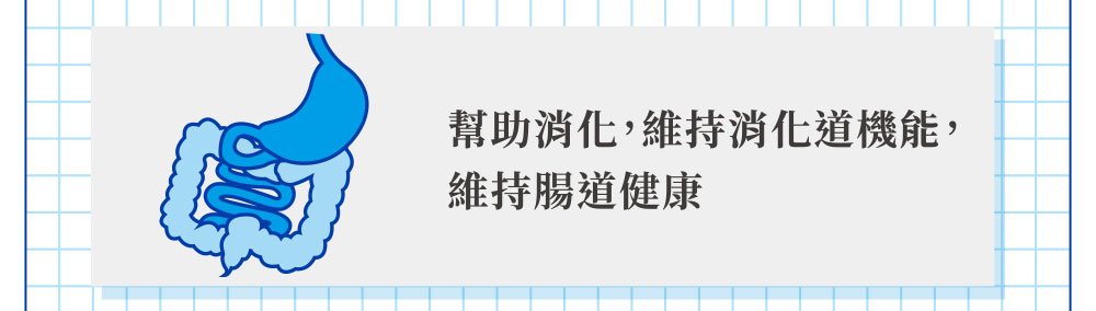 幫助消化 維持消化道機能 維持腸道健康